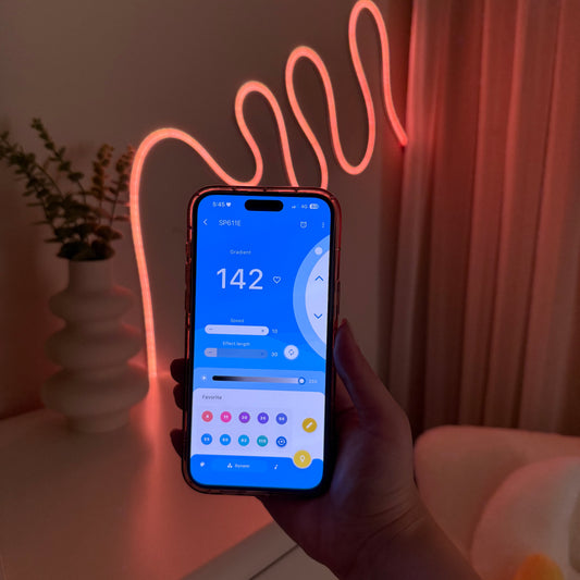 LED Neon