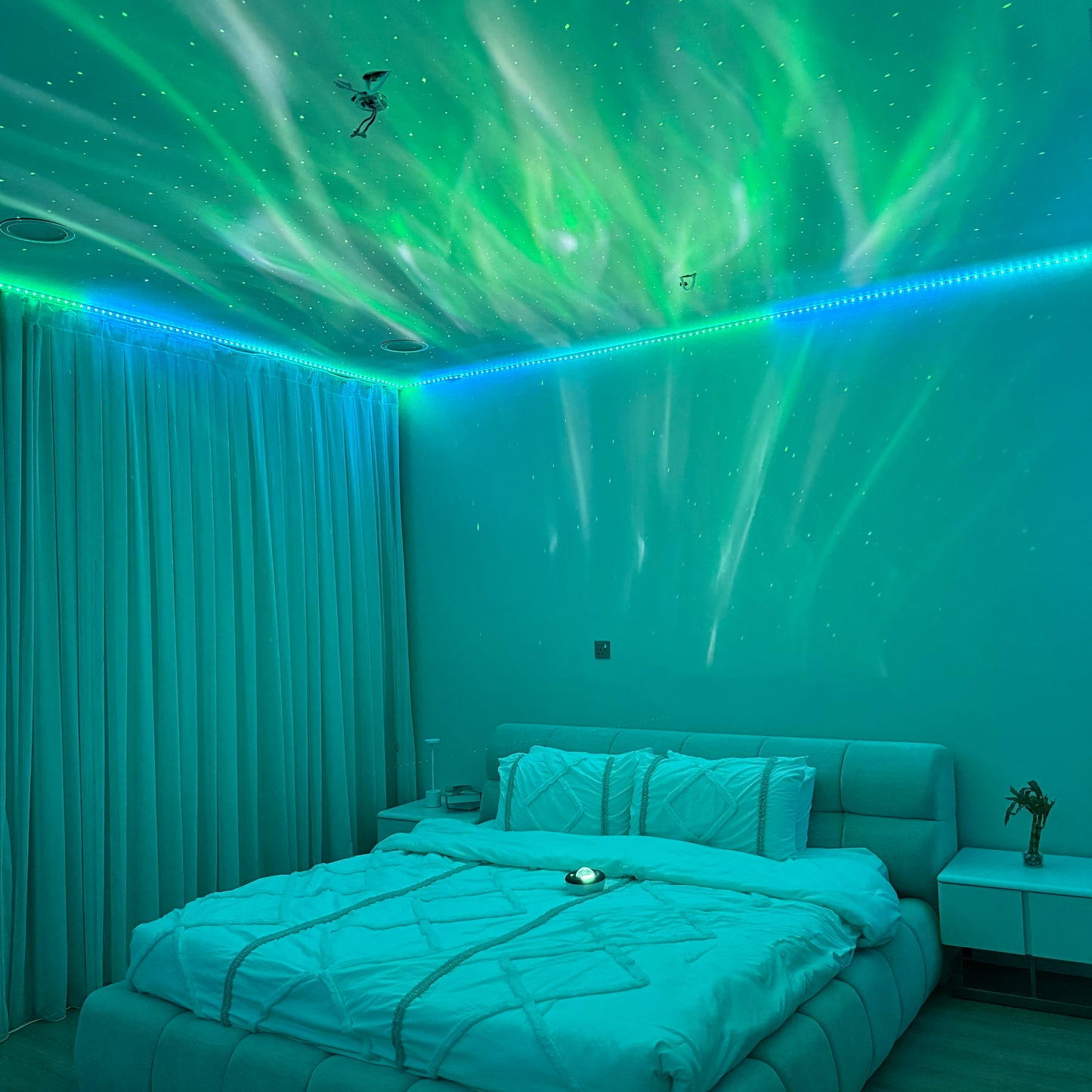 Dream Offer