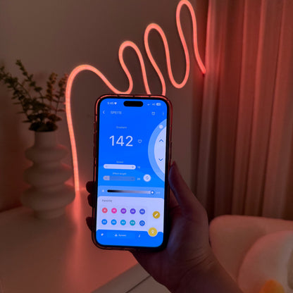 LED Neon